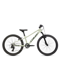 Bicicleta Coluer ZAP 241