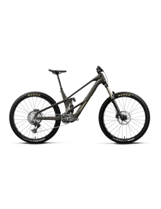 Bicicleta eléctrica de...
