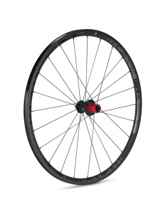 Rueda Trasera Gurpil GTR RR17