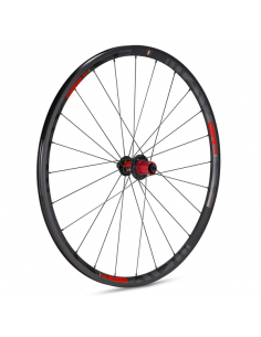 Rueda Trasera Gurpil GTR RR17