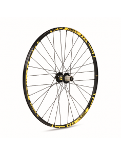 Rueda Trasera Gurpil GTR EL19