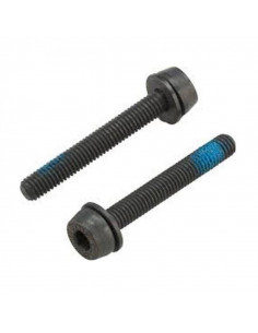 Viti CAMPAGNOLO 2x34mm per...