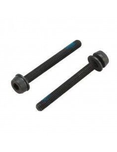 Vis CAMPAGNOLO 2x44mm pour...