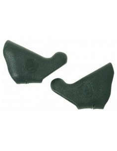 Record-Chorus Ergopower...