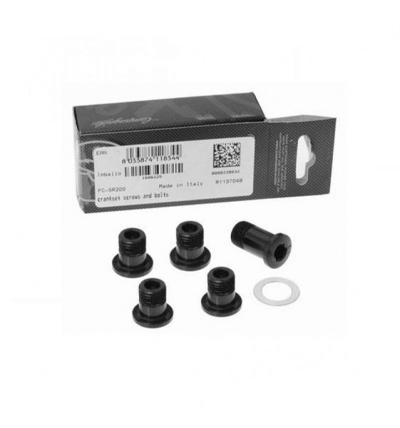 Kit 5 viti Campagnolo singolo...