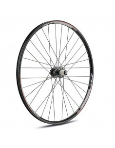 Roue arrière Nainer 29...