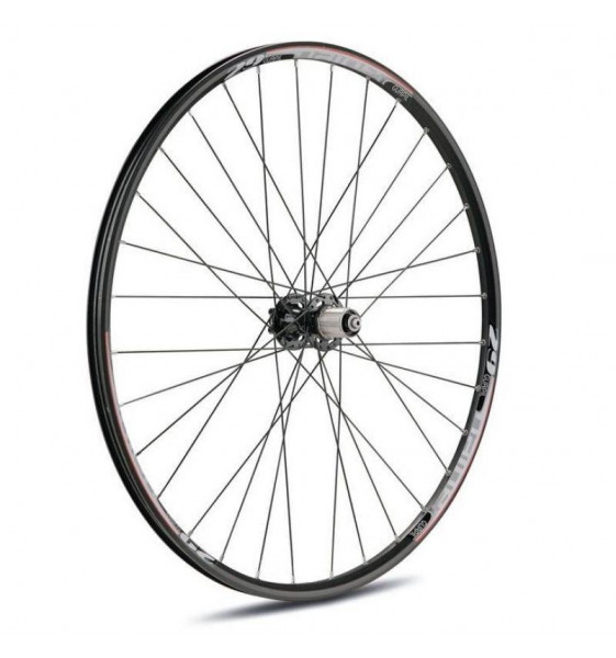 Hinterrad Nainer 29 Schwarzlager...