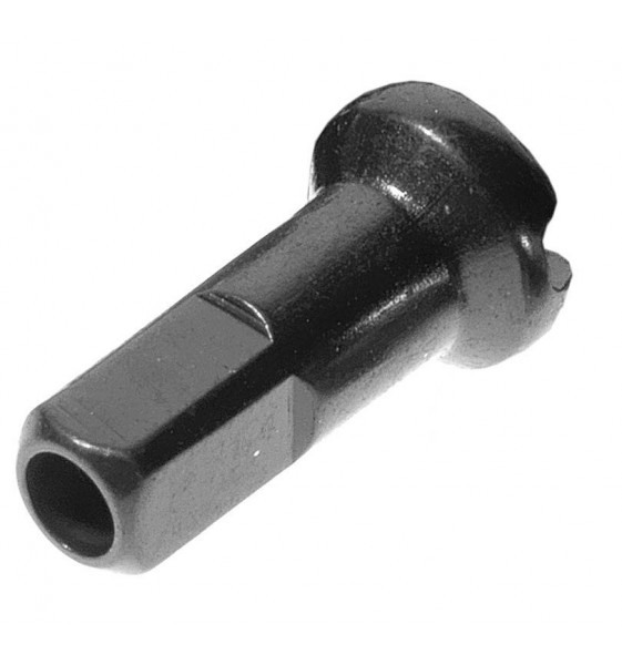 Box 100 Testiere Radio Radio DT SWISS...