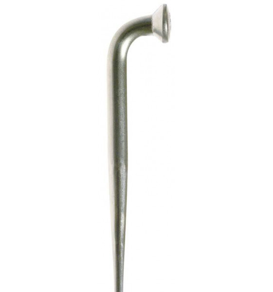 Caja 100 Radio DT SWISS Alpine...