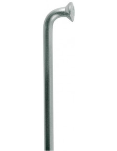 Radio DT SWISS Champion M...