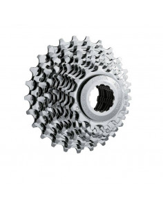 Kassette Miche 10V CAMPAGNOLO