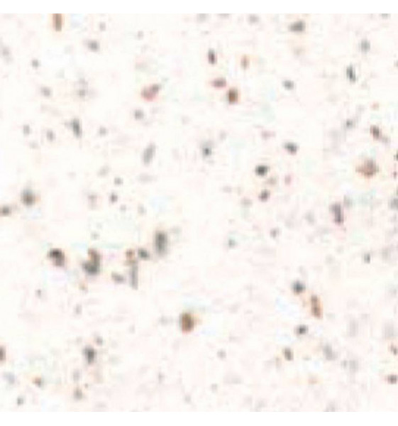 Bande de guidon de liège de ruban de...