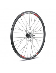 Ruota posteriore Dp-18 vs...