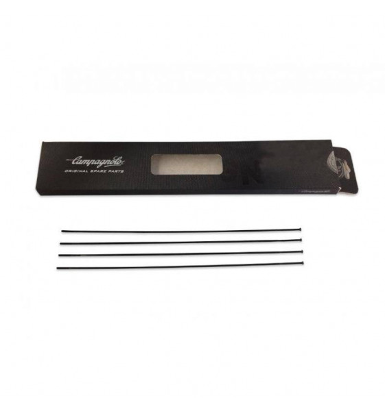 Pack 4 Radios Campagnolo Zonda Front