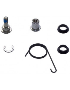 KIT PIEZAS INTERNAS SRAM MANETA FRENO TT TT500 TT900