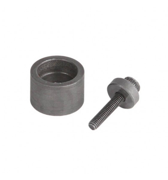 HERRAMIENTA P-COJINETE PIVOTE CAMBIO