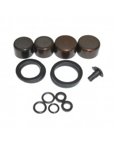 Kit Piston Pinza Sramguide Ultimate