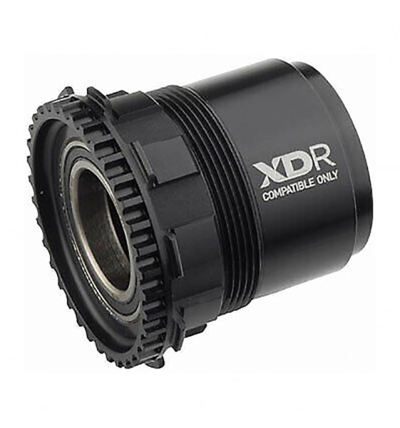 Núcleo ZIPP COGNITION NSW XDR 11/12V