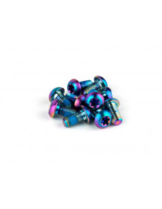 Kit tornillos SRAM para disco de freno Titanio T25 ARCO-IRIS (12 UDS)