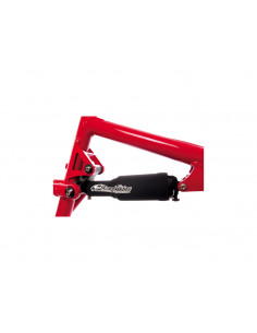 Bellows Rear Shock Lizard...