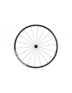 copy of Rueda delantera...