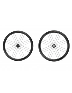 copy of Rueda delantera...