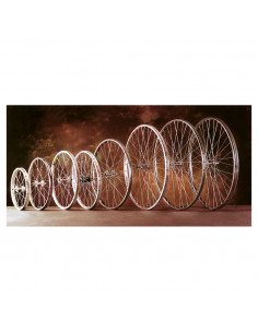 Rueda Delantera 700X28C...