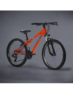 Bicicletta infantil...