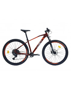 Bicicleta de Montaña WST...