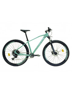 Bicicleta de Montaña WST...