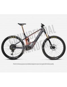 Bicicleta Orbea Wild M-LTD...