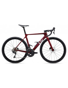 Bicicleta EnviLiv Advanced 2