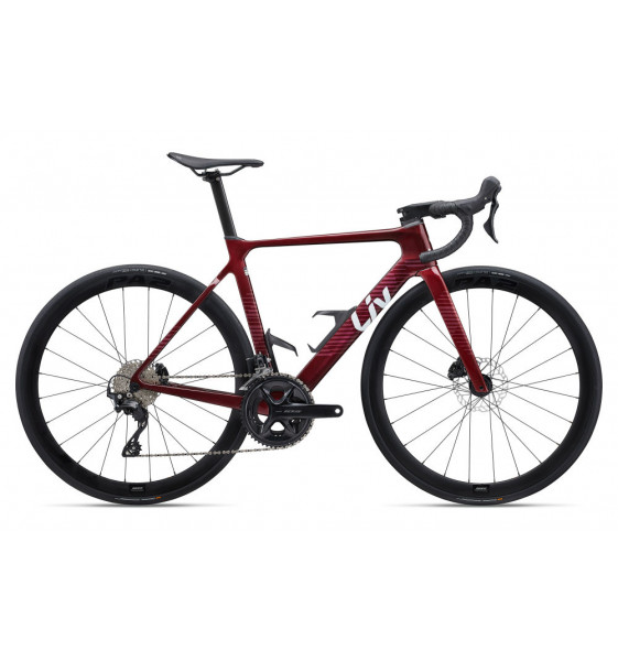 Bicicleta EnviLiv Advanced 2