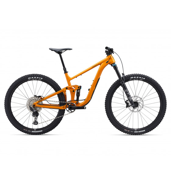 Bicicleta de Montaña Giant Trance X 2...