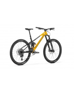 Bicicleta de Montaña...