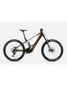 Bicicleta Orbea Wild M10 2025