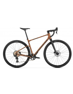 Bicicleta de Gravel...