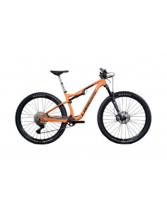 Bicicleta de Montaña...