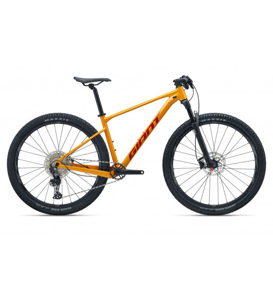 Bicicleta de Montaña Giant XTC SLR 29 2