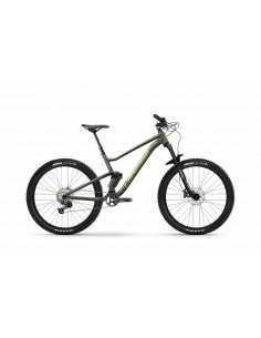 Bicicleta de Montaña...