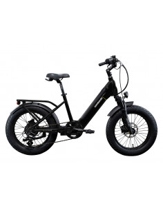 Bicicleta Eléctrica...