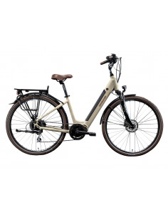 Bicicleta Eléctrica...