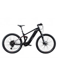 Bicicleta Eléctrica...