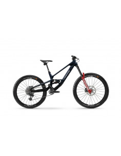 Bicicleta de Montaña...