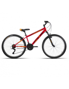 Bicicleta Infantil JL Wenti...