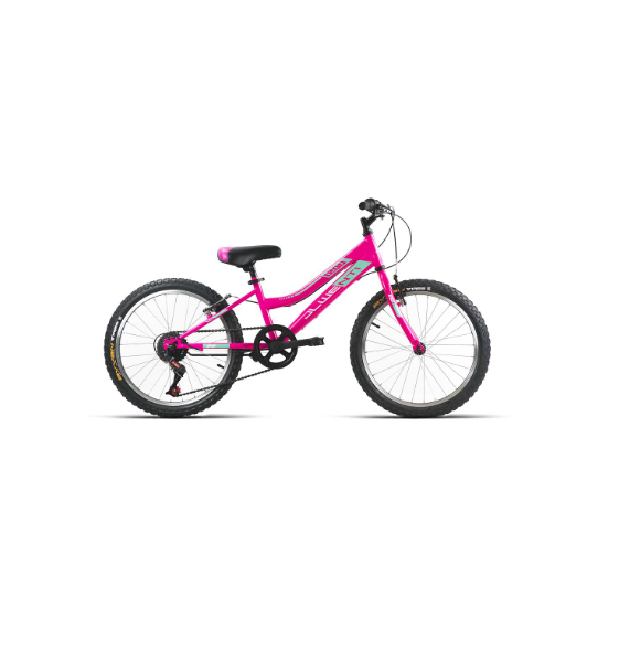 Bicicleta Niña JL-Wenti 5V 20"