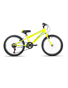 Bicicleta Infantil JL Wenti...