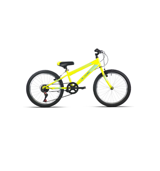 Bicicleta Infantil JL Wenti 20” 5V