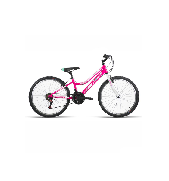 Bicicleta Infantil Niña JL-Wenti MTB...